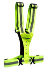 Harness