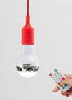 Just Bulb