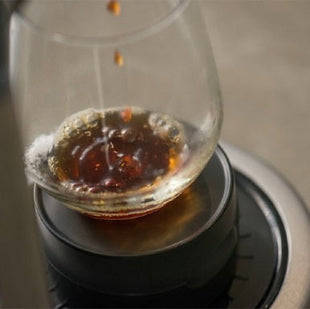 Coffee Maker Sage Precision Brewer Thermal - siopashop.ie